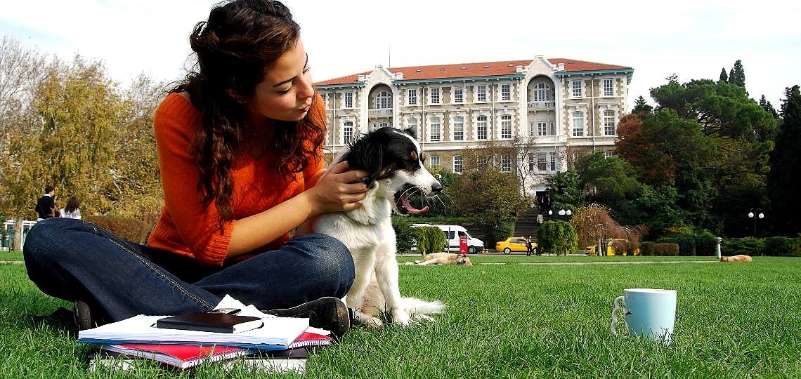 Üniversite Öğrencileri İçin Uygun Köpek Irkları