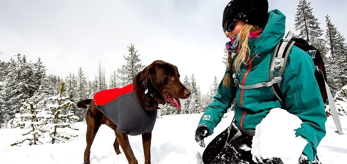 Köpeğiniz ile Birlikte Kış Tatili Hazırlıkları